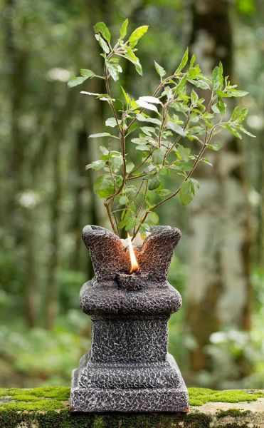 तुलसी चालीसा ( हिंदी ) / Tulsi Chalisa (English)